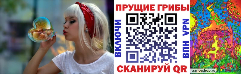 Псилоцибиновые грибы GOLDEN TEACHER  наркошоп  Сим 